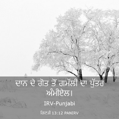Picture 03 - ਗਿਣਤੀ 13:12 PANIRV - ਦਾਨ ਦੇ ਗੋਤ ਤੋਂ - Bible Verse Picture