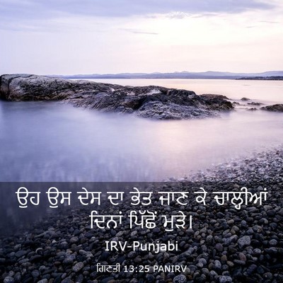 Picture 03 - ਗਿਣਤੀ 13:25 PANIRV - ਉਹ ਉਸ ਦੇਸ ਦਾ ਭੇਤ - Bible Verse Picture