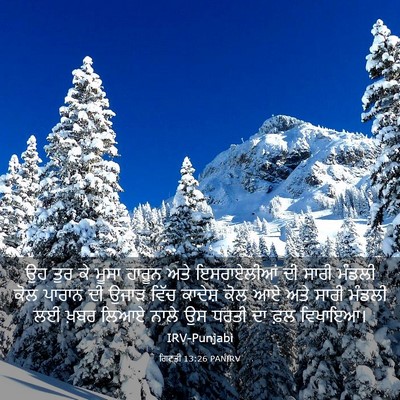 Picture 03 - ਗਿਣਤੀ 13:26 PANIRV - ਉਹ ਤੁਰ ਕੇ ਮੂਸਾ - Bible Verse Picture