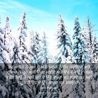 Picture 03 - ਗਿਣਤੀ 13:30 PANIRV - ਤਦ ਕਾਲੇਬ ਨੇ ਮੂਸਾ ਦੇ - Bible Verse Picture