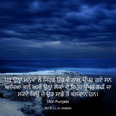 Picture 03 - ਗਿਣਤੀ 13:31 PANIRV - ਪਰ ਉਨ੍ਹਾਂ ਮਨੁੱਖਾਂ - Bible Verse Picture