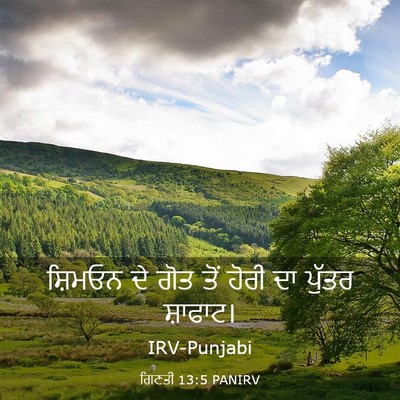 Picture 03 - ਗਿਣਤੀ 13:5 PANIRV - ਸ਼ਿਮਓਨ ਦੇ ਗੋਤ ਤੋਂ - Bible Verse Picture