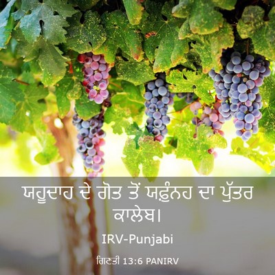 Picture 03 - ਗਿਣਤੀ 13:6 PANIRV - ਯਹੂਦਾਹ ਦੇ ਗੋਤ ਤੋਂ - Bible Verse Picture