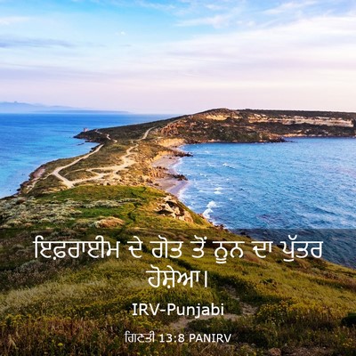 Picture 03 - ਗਿਣਤੀ 13:8 PANIRV - ਇਫ਼ਰਾਈਮ ਦੇ ਗੋਤ ਤੋਂ - Bible Verse Picture