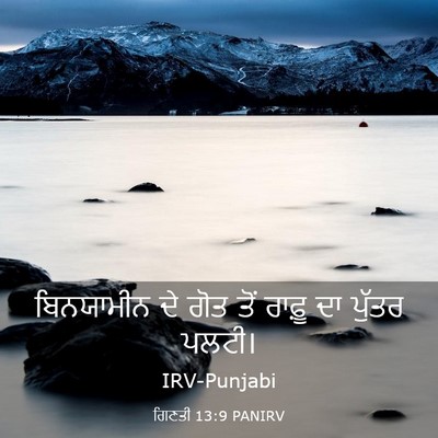 Picture 03 - ਗਿਣਤੀ 13:9 PANIRV - ਬਿਨਯਾਮੀਨ ਦੇ ਗੋਤ - Bible Verse Picture