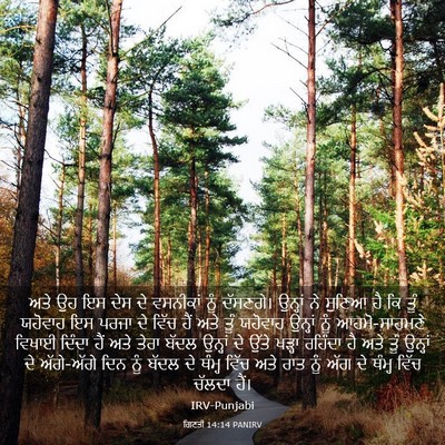 Picture 03 - ਗਿਣਤੀ 14:14 PANIRV - ਅਤੇ ਉਹ ਇਸ ਦੇਸ ਦੇ - Bible Verse Picture