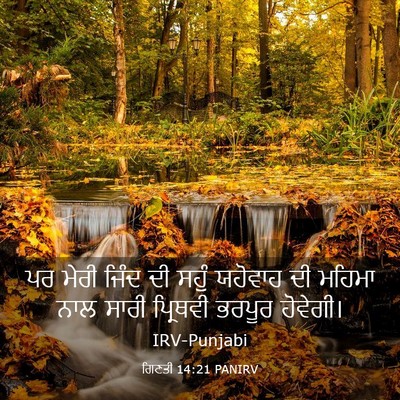 Picture 03 - ਗਿਣਤੀ 14:21 PANIRV - ਪਰ ਮੇਰੀ ਜਿੰਦ ਦੀ - Bible Verse Picture
