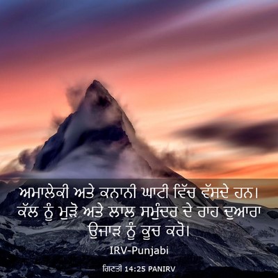 Picture 03 - ਗਿਣਤੀ 14:25 PANIRV - ਅਮਾਲੇਕੀ ਅਤੇ ਕਨਾਨੀ - Bible Verse Picture
