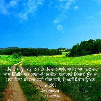 Picture 03 - ਗਿਣਤੀ 14:3 PANIRV - ਯਹੋਵਾਹ ਸਾਨੂੰ ਕਿਉਂ - Bible Verse Picture