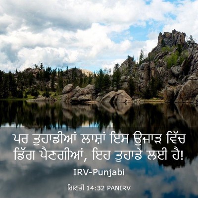 Picture 03 - ਗਿਣਤੀ 14:32 PANIRV - ਪਰ ਤੁਹਾਡੀਆਂ - Bible Verse Picture