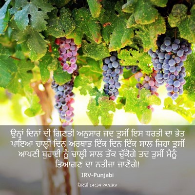 Picture 03 - ਗਿਣਤੀ 14:34 PANIRV - ਉਨ੍ਹਾਂ ਦਿਨਾਂ ਦੀ - Bible Verse Picture
