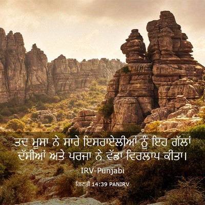 Picture 03 - ਗਿਣਤੀ 14:39 PANIRV - ਤਦ ਮੂਸਾ ਨੇ ਸਾਰੇ - Bible Verse Picture