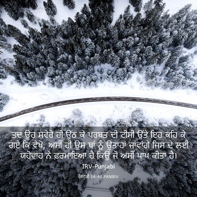 Picture 03 - ਗਿਣਤੀ 14:40 PANIRV - ਤਦ ਉਹ ਸਵੇਰੇ ਹੀ ਉੱਠ - Bible Verse Picture