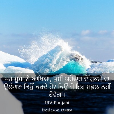 Picture 03 - ਗਿਣਤੀ 14:41 PANIRV - ਪਰ ਮੂਸਾ ਨੇ ਆਖਿਆ, - Bible Verse Picture
