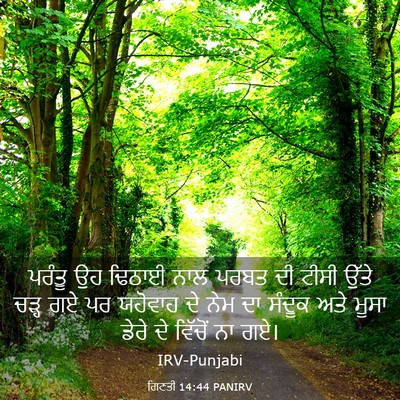 Picture 03 - ਗਿਣਤੀ 14:44 PANIRV - ਪਰੰਤੂ ਉਹ ਢਿਠਾਈ ਨਾਲ - Bible Verse Picture