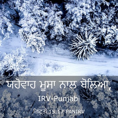 Picture 03 - ਗਿਣਤੀ 15:17 PANIRV - ਯਹੋਵਾਹ ਮੂਸਾ ਨਾਲ - Bible Verse Picture