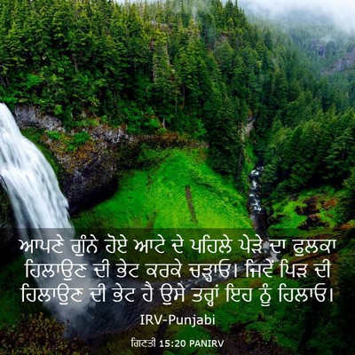 Picture 03 - ਗਿਣਤੀ 15:20 PANIRV - ਆਪਣੇ ਗੁੰਨੇ ਹੋਏ ਆਟੇ - Bible Verse Picture