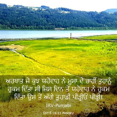 Picture 03 - ਗਿਣਤੀ 15:23 PANIRV - ਅਰਥਾਤ ਜੋ ਕੁਝ - Bible Verse Picture