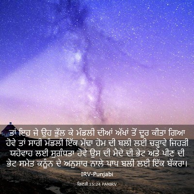 Picture 03 - ਗਿਣਤੀ 15:24 PANIRV - ਤਾਂ ਇਹ ਜੇ ਉਹ ਭੁੱਲ - Bible Verse Picture
