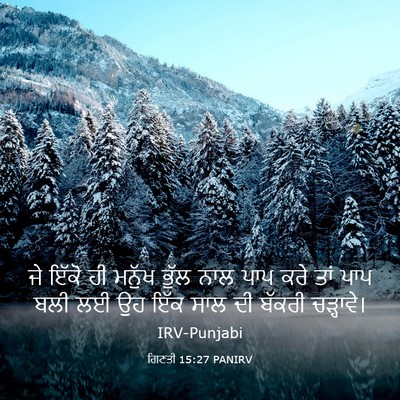 Picture 03 - ਗਿਣਤੀ 15:27 PANIRV - ਜੇ ਇੱਕੋ ਹੀ ਮਨੁੱਖ - Bible Verse Picture