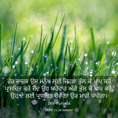 Picture 03 - ਗਿਣਤੀ 15:28 PANIRV - ਫੇਰ ਜਾਜਕ ਉਸ ਮਨੁੱਖ - Bible Verse Picture