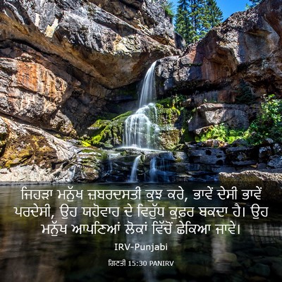 Picture 03 - ਗਿਣਤੀ 15:30 PANIRV - ਜਿਹੜਾ ਮਨੁੱਖ - Bible Verse Picture
