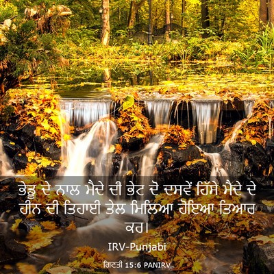 Picture 03 - ਗਿਣਤੀ 15:6 PANIRV - ਭੇਡੂ ਦੇ ਨਾਲ ਮੈਦੇ ਦੀ - Bible Verse Picture