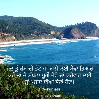 Picture 03 - ਗਿਣਤੀ 15:8 PANIRV - ਜਦ ਤੂੰ ਹੋਮ ਦੀ ਭੇਟ - Bible Verse Picture