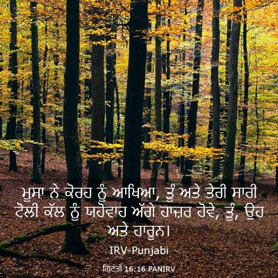 Picture 03 - ਗਿਣਤੀ 16:16 PANIRV - ਮੂਸਾ ਨੇ ਕੋਰਹ ਨੂੰ - Bible Verse Picture