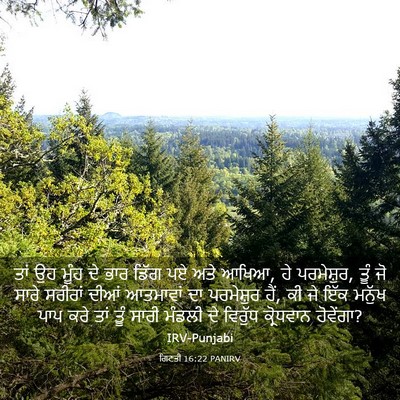 Picture 03 - ਗਿਣਤੀ 16:22 PANIRV - ਤਾਂ ਉਹ ਮੂੰਹ ਦੇ ਭਾਰ - Bible Verse Picture