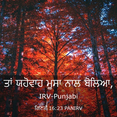 Picture 03 - ਗਿਣਤੀ 16:23 PANIRV - ਤਾਂ ਯਹੋਵਾਹ ਮੂਸਾ - Bible Verse Picture