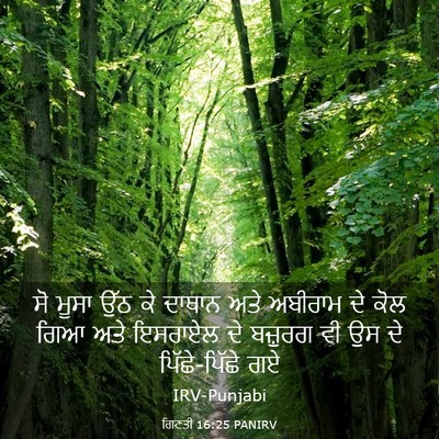 Picture 03 - ਗਿਣਤੀ 16:25 PANIRV - ਸੋ ਮੂਸਾ ਉੱਠ ਕੇ - Bible Verse Picture