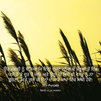 Picture 03 - ਗਿਣਤੀ 16:26 PANIRV - ਉਹ ਮੰਡਲੀ ਨੂੰ ਬੋਲਿਆ - Bible Verse Picture