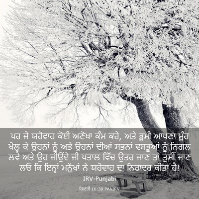 Picture 03 - ਗਿਣਤੀ 16:30 PANIRV - ਪਰ ਜੇ ਯਹੋਵਾਹ ਕੋਈ - Bible Verse Picture