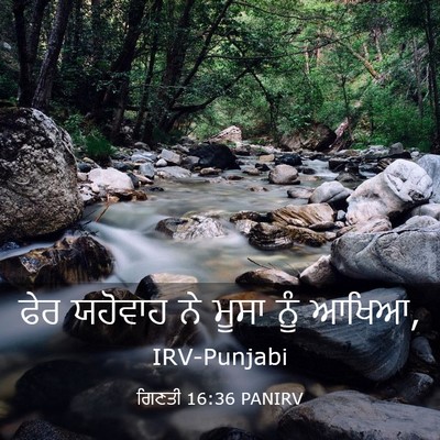 Picture 03 - ਗਿਣਤੀ 16:36 PANIRV - ਫੇਰ ਯਹੋਵਾਹ ਨੇ ਮੂਸਾ - Bible Verse Picture