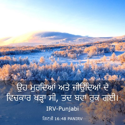 Picture 03 - ਗਿਣਤੀ 16:48 PANIRV - ਉਹ ਮੁਰਦਿਆਂ ਅਤੇ - Bible Verse Picture