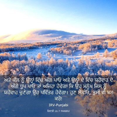 Picture 03 - ਗਿਣਤੀ 16:7 PANIRV - ਅਤੇ ਕੱਲ ਨੂੰ ਉਨ੍ਹਾਂ - Bible Verse Picture