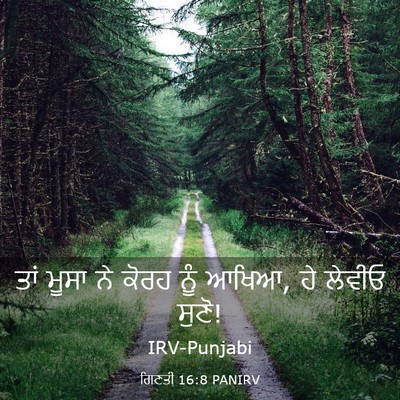 Picture 03 - ਗਿਣਤੀ 16:8 PANIRV - ਤਾਂ ਮੂਸਾ ਨੇ ਕੋਰਹ - Bible Verse Picture