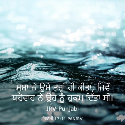 Picture 03 - ਗਿਣਤੀ 17:11 PANIRV - ਮੂਸਾ ਨੇ ਉਸੇ ਤਰ੍ਹਾਂ - Bible Verse Picture