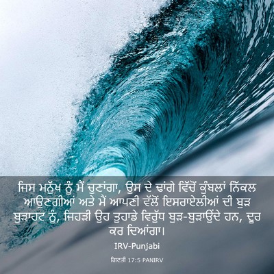 Picture 03 - ਗਿਣਤੀ 17:5 PANIRV - ਜਿਸ ਮਨੁੱਖ ਨੂੰ ਮੈਂ - Bible Verse Picture