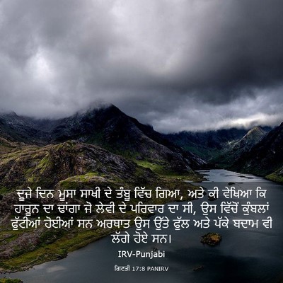 Picture 03 - ਗਿਣਤੀ 17:8 PANIRV - ਦੂਜੇ ਦਿਨ ਮੂਸਾ ਸਾਖੀ - Bible Verse Picture