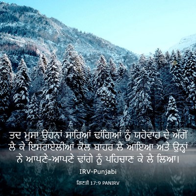 Picture 03 - ਗਿਣਤੀ 17:9 PANIRV - ਤਦ ਮੂਸਾ ਉਹਨਾਂ - Bible Verse Picture