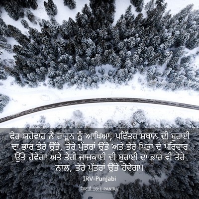 Picture 03 - ਗਿਣਤੀ 18:1 PANIRV - ਫੇਰ ਯਹੋਵਾਹ ਨੇ - Bible Verse Picture