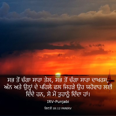 Picture 03 - ਗਿਣਤੀ 18:12 PANIRV - ਸਭ ਤੋਂ ਚੰਗਾ ਸਾਰਾ - Bible Verse Picture