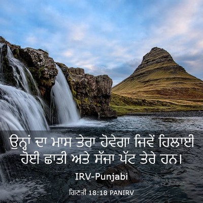 Picture 03 - ਗਿਣਤੀ 18:18 PANIRV - ਉਨ੍ਹਾਂ ਦਾ ਮਾਸ ਤੇਰਾ - Bible Verse Picture