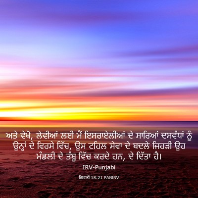 Picture 03 - ਗਿਣਤੀ 18:21 PANIRV - ਅਤੇ ਵੇਖੋ, ਲੇਵੀਆਂ ਲਈ - Bible Verse Picture