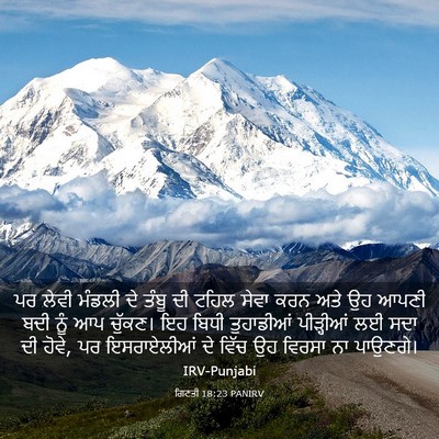 Picture 03 - ਗਿਣਤੀ 18:23 PANIRV - ਪਰ ਲੇਵੀ ਮੰਡਲੀ ਦੇ - Bible Verse Picture