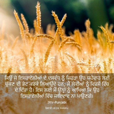 Picture 03 - ਗਿਣਤੀ 18:24 PANIRV - ਕਿਉਂ ਜੋ ਇਸਰਾਏਲੀਆਂ - Bible Verse Picture