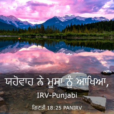 Picture 03 - ਗਿਣਤੀ 18:25 PANIRV - ਯਹੋਵਾਹ ਨੇ ਮੂਸਾ ਨੂੰ - Bible Verse Picture