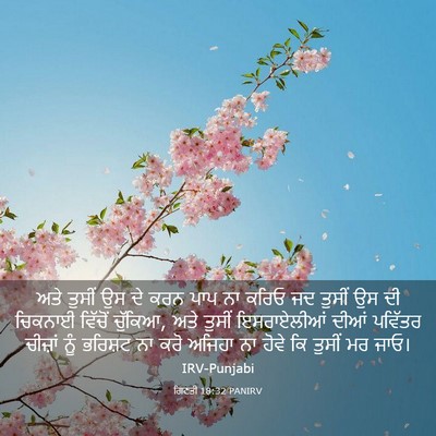 Picture 03 - ਗਿਣਤੀ 18:32 PANIRV - ਅਤੇ ਤੁਸੀਂ ਉਸ ਦੇ ਕਰਨ - Bible Verse Picture